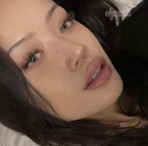 vietnamese/chinese/french