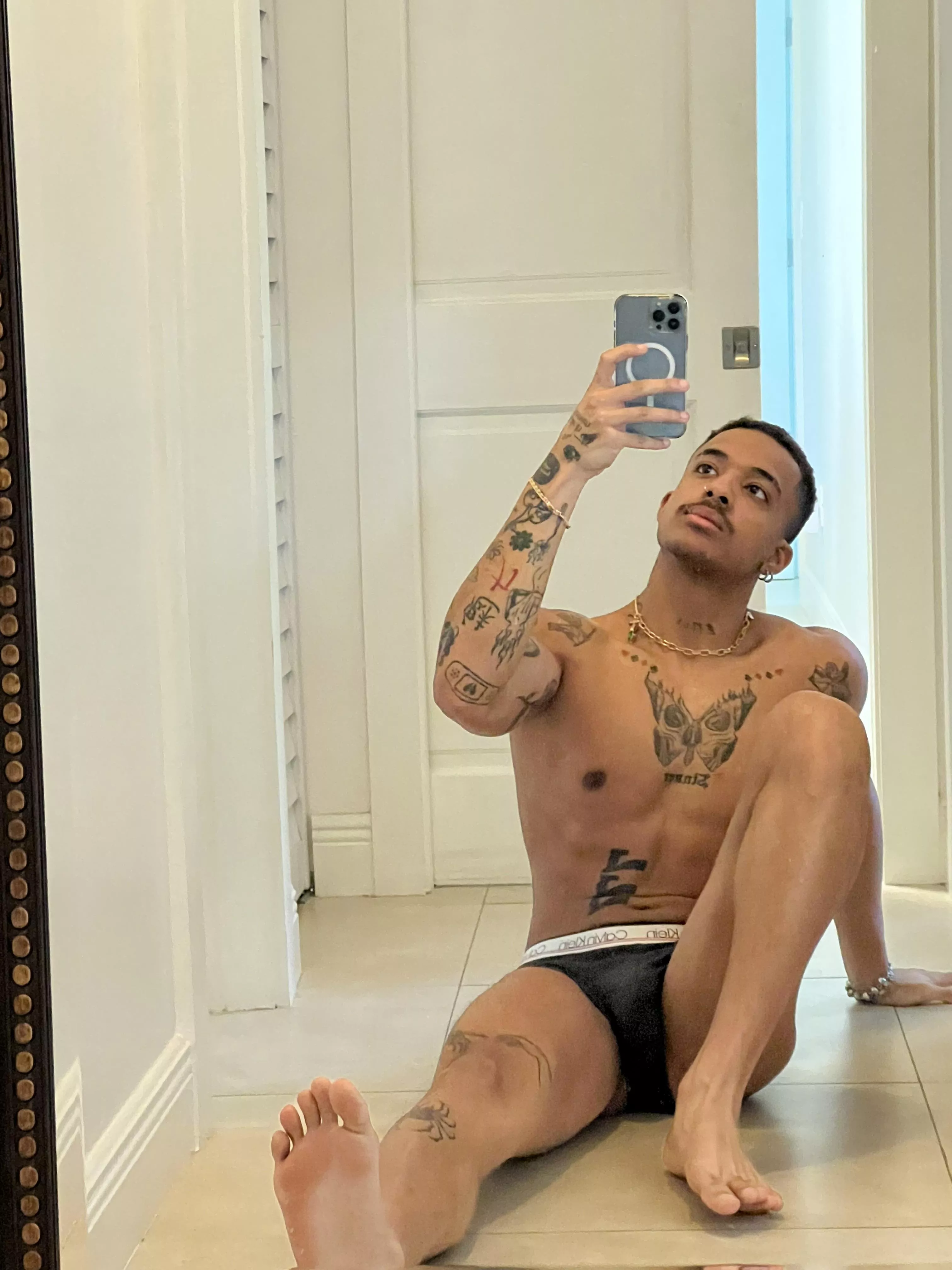 Who wants a lick or sniff?