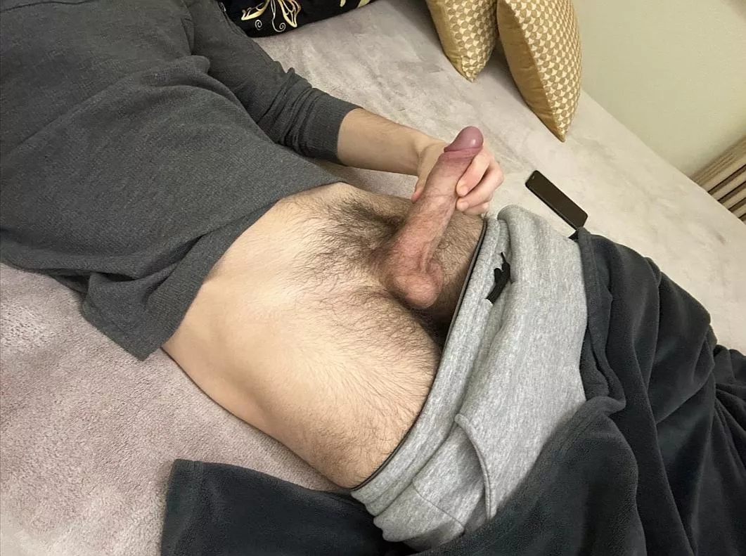 Whould you blow my teen hairy cock