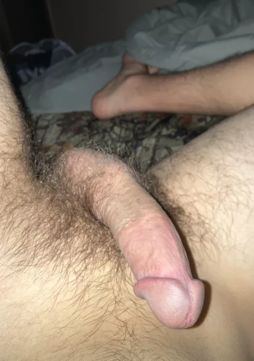 You ready to play with my cock & bush before bed? (18)