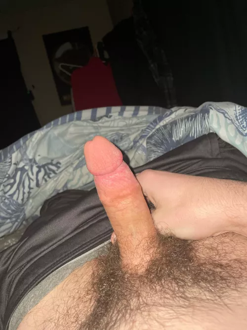 18M. Straight. Ladies lmk what you think