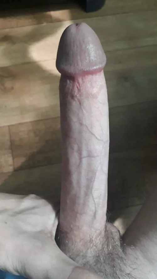 19 cm