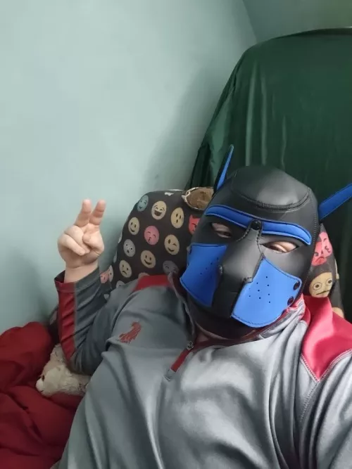 20 male anyone want a pup boyfriend 😋