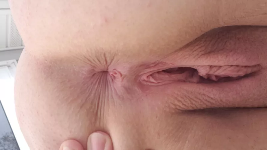 250 cocks and counting ;)