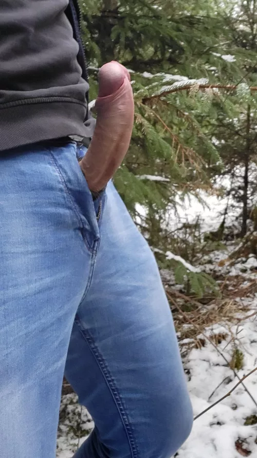 A walk in the wood 🪵 🍌‼️