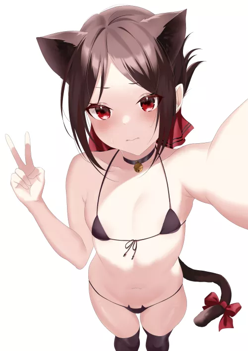 Cat ears kaguya [Kaguya-Sama: Love is war]
