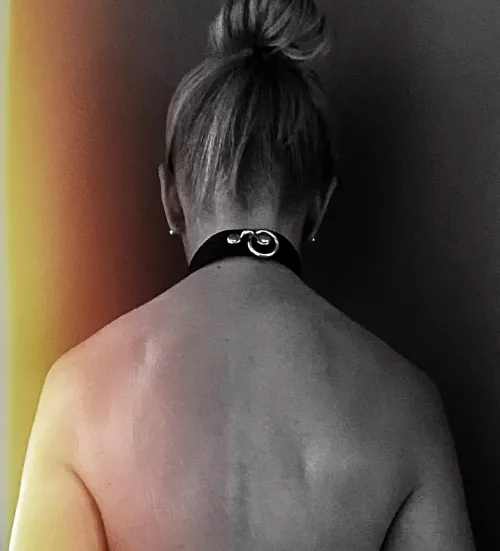 Cornered and Collared!