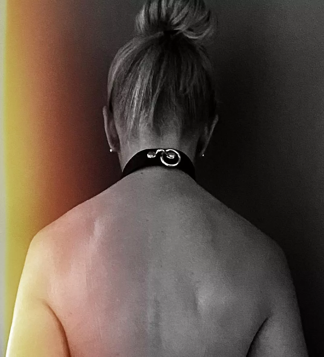 Cornered and Collared!