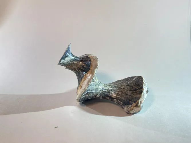 Does anyone know what is this?