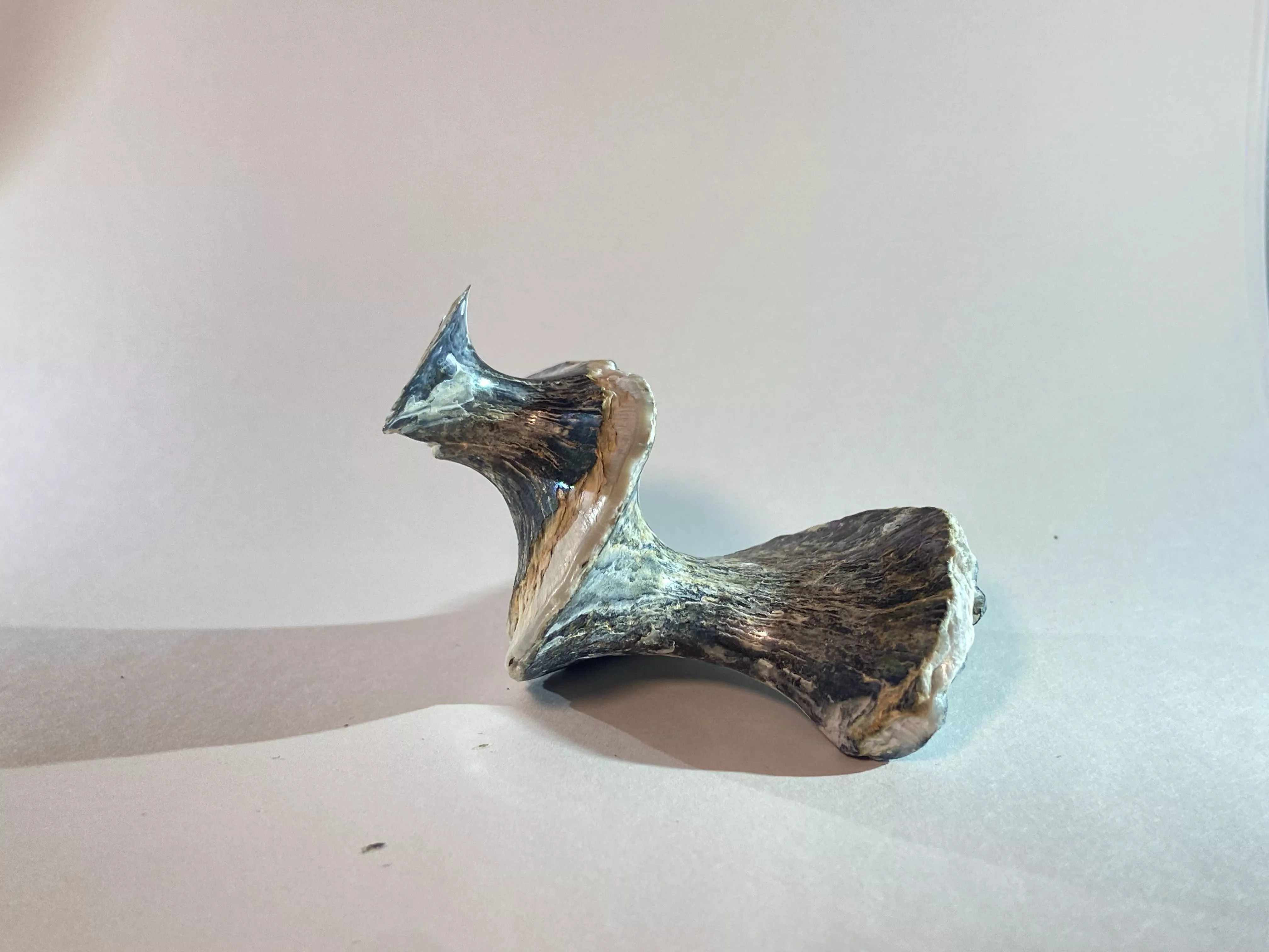 Does anyone know what is this?