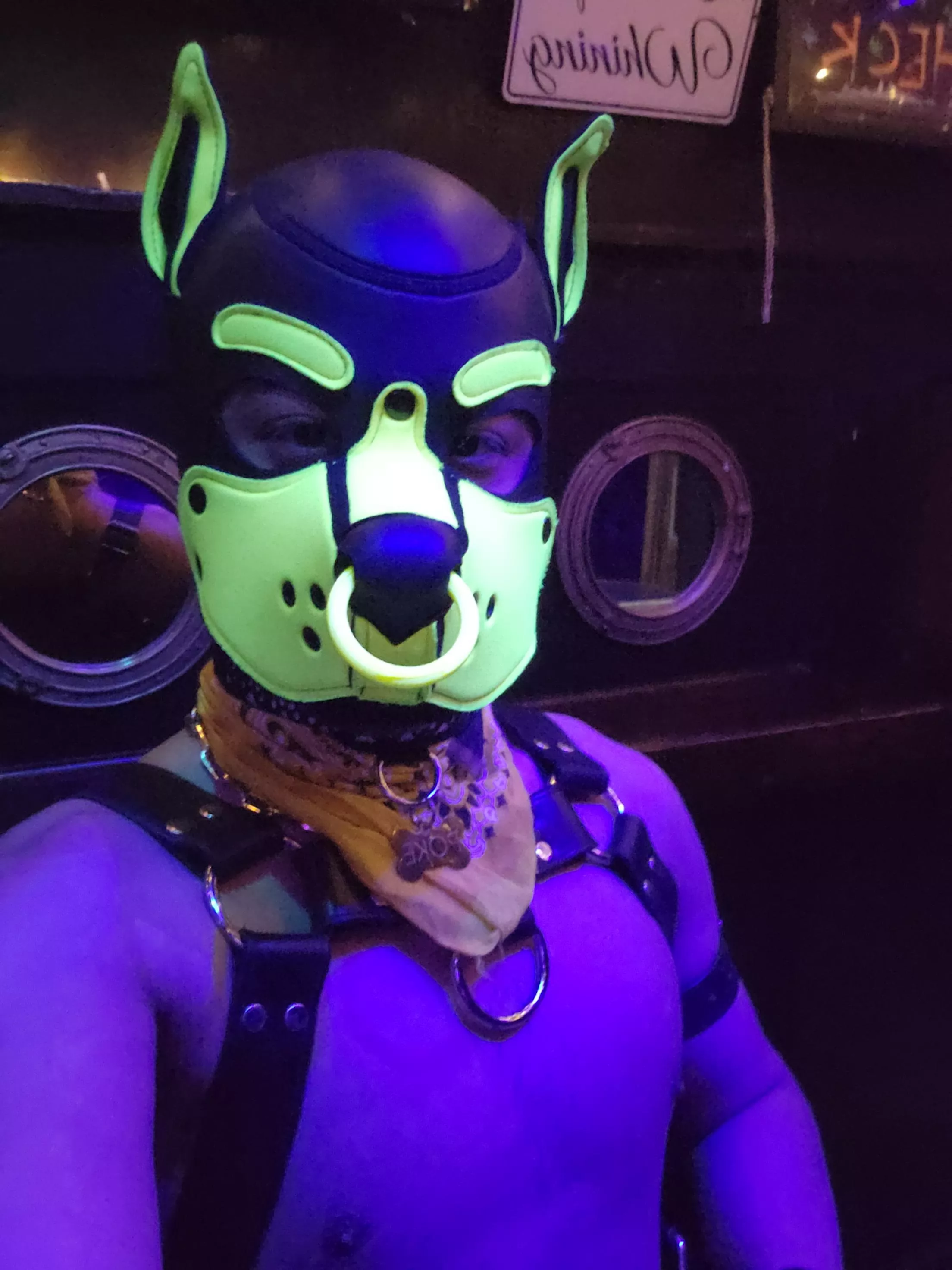 Glow puppy 💛💛💛