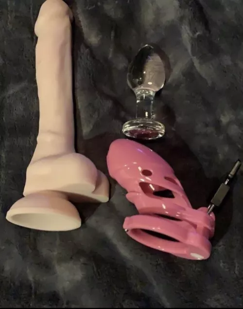 I’m a Dominant mistress been like 15 years and I like my slave to be clean and to be obedient