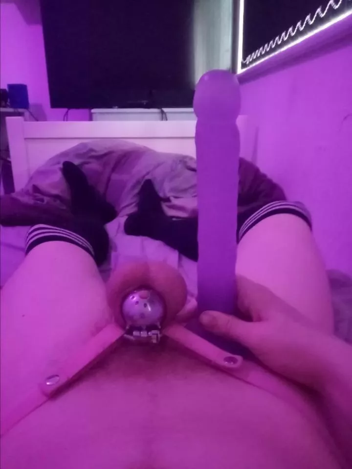 I’ve had my pathetic little slut locked up for a day now, be extra mean to him, he loves it 😉