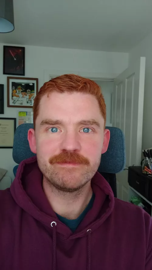 Lazy lunchtime in Lancaster