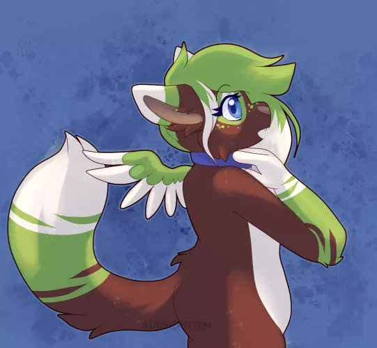 Make a wish 🌠| [Art by myself @aussie_kitten]