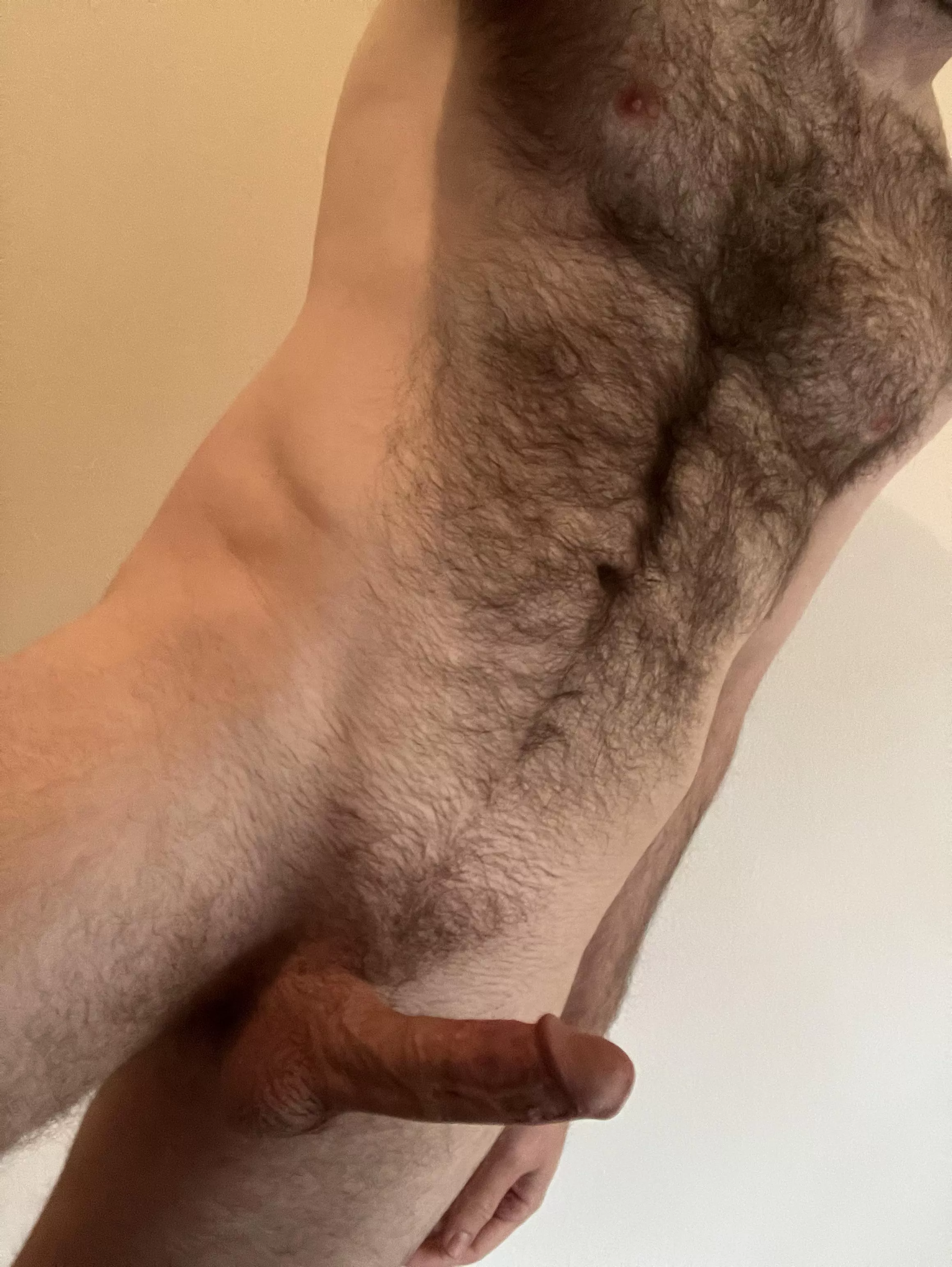 My happy trail starts at the neck