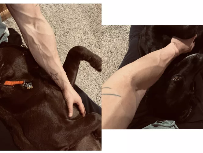 Nothing better than a lazy Sunday and belly rubs 🐶