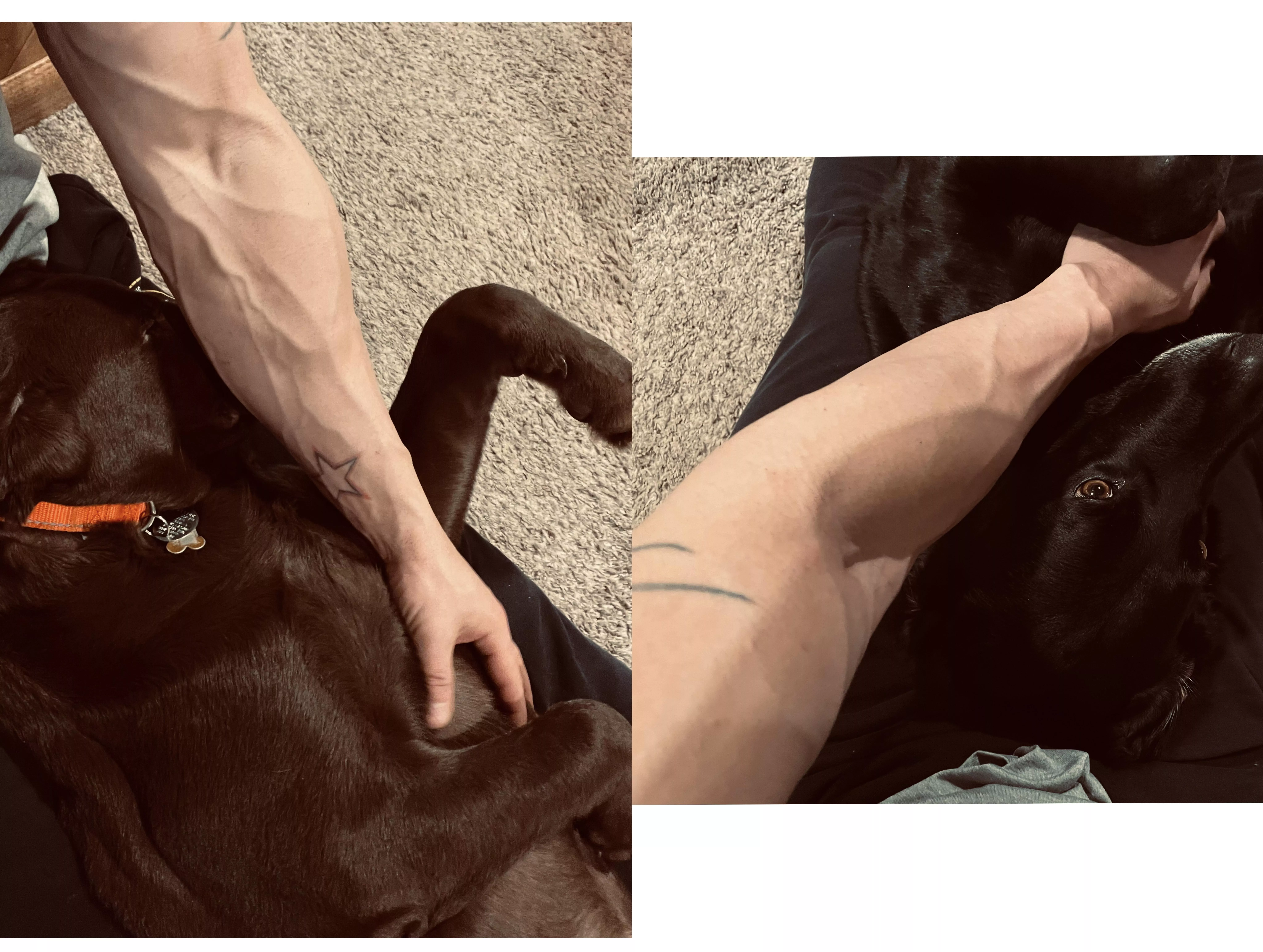 Nothing better than a lazy Sunday and belly rubs 🐶