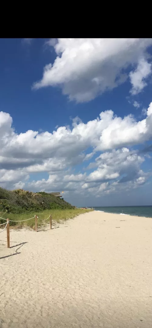 Phipps ocean park beach #Florida