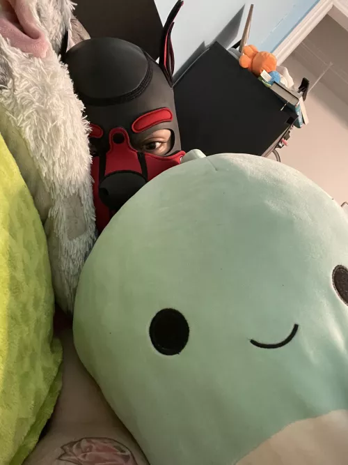 Puppy with his stuffy