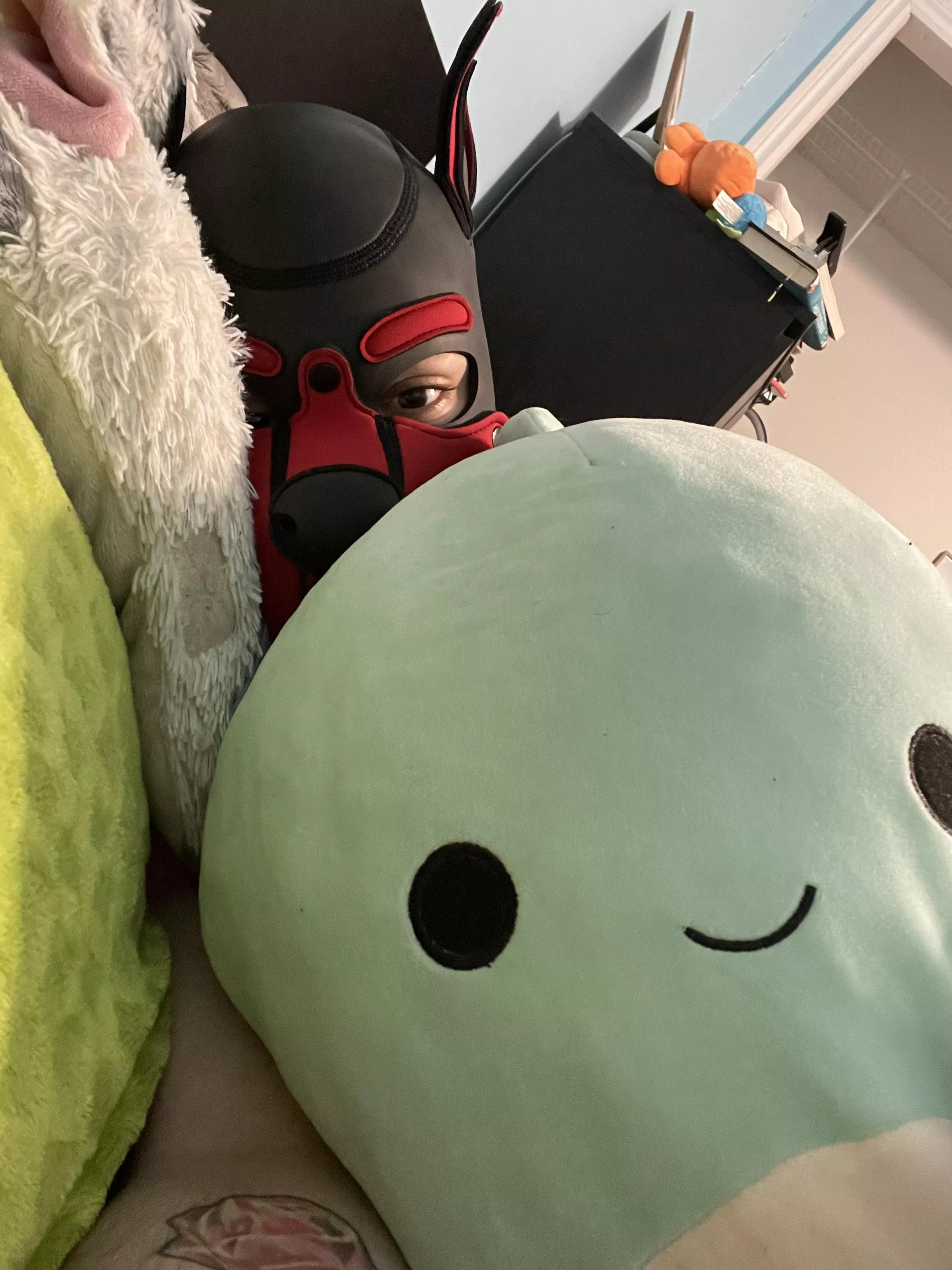 Puppy with his stuffy