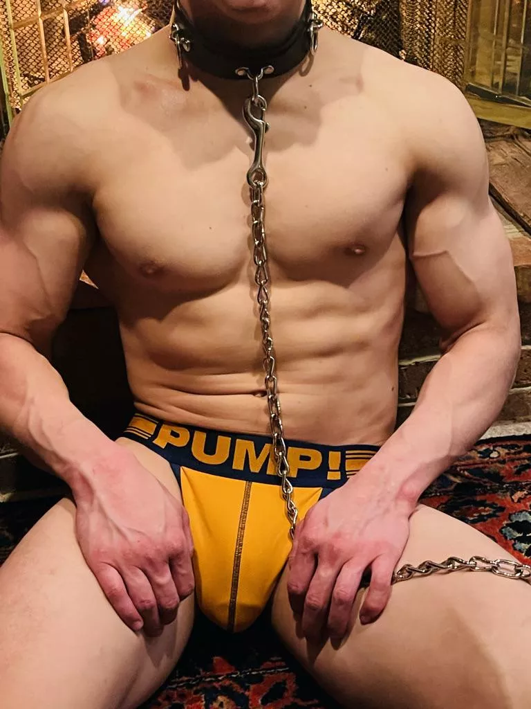 Ready for any commands given