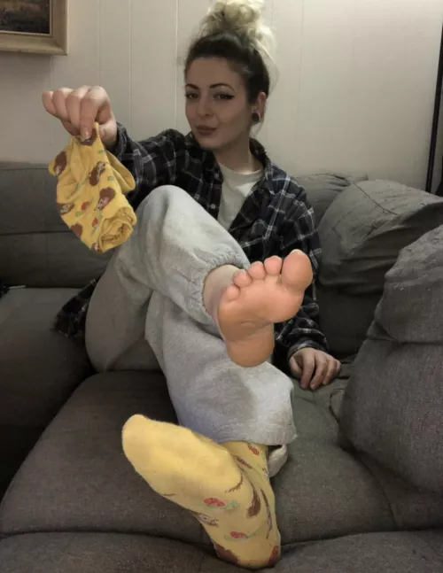 Sniff the socks or my feet?