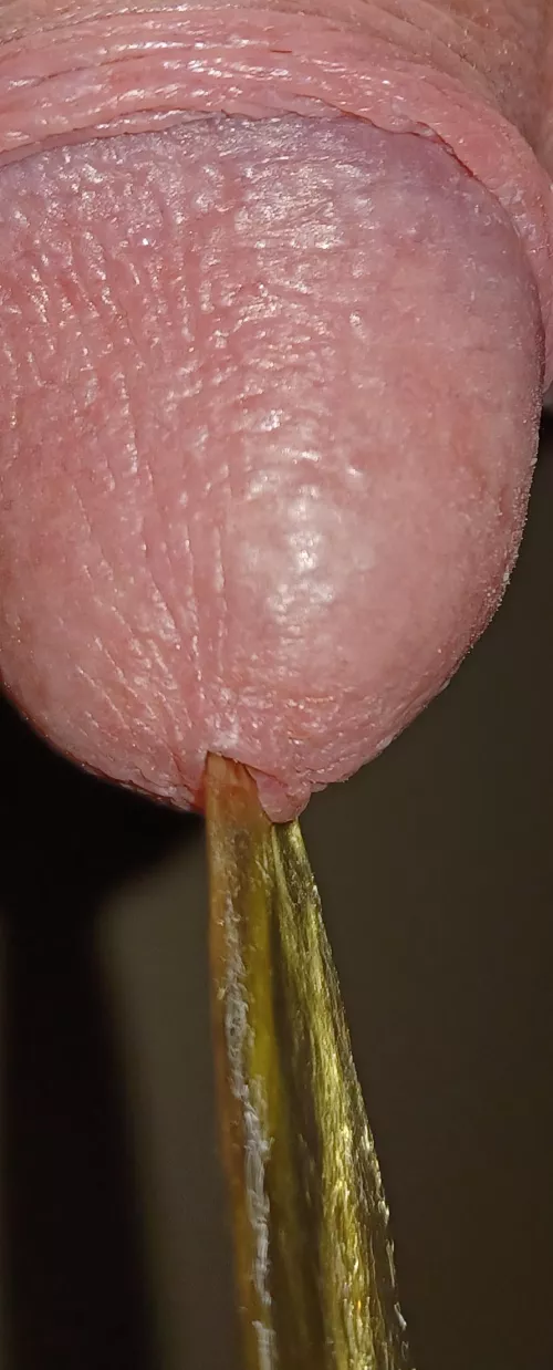 Take a close look but no touching