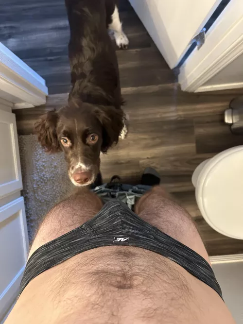 Wanna play with my pup?