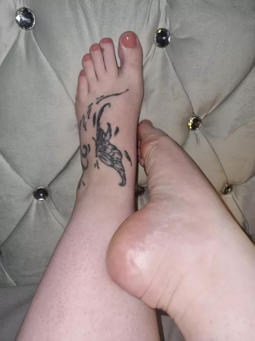 When you have to rub against your own leg. Do i need help?