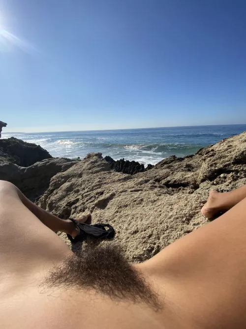 Wild bush at the ocean