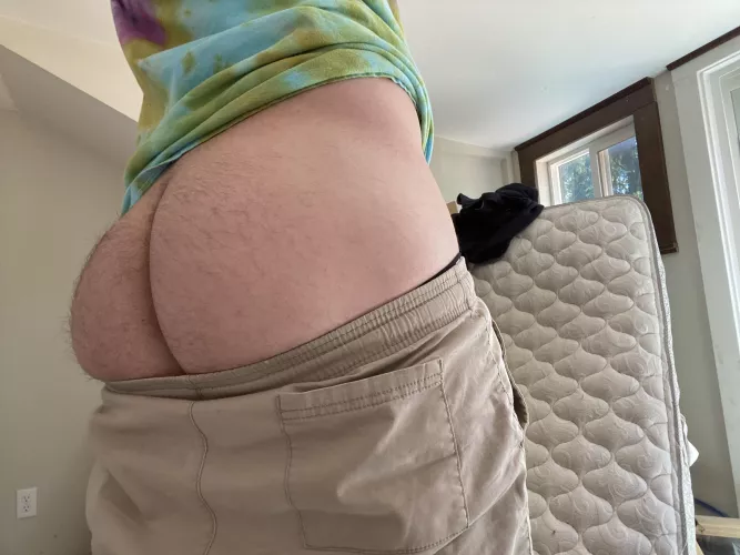 y'all really seemed to like the first one so here's more 😌