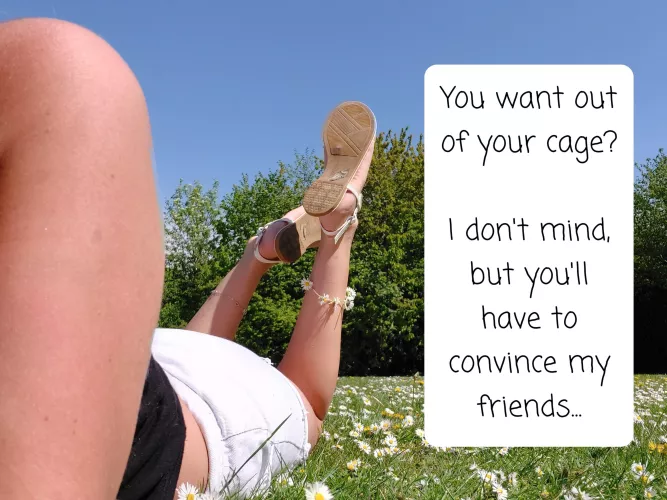 You have to convince my friends…