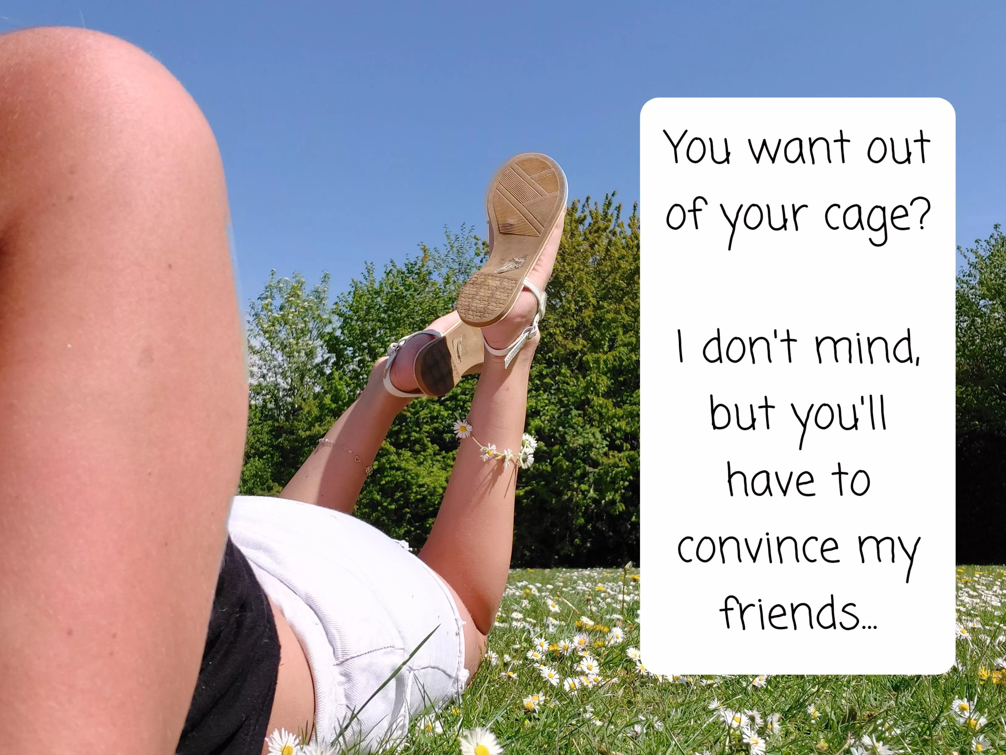 You have to convince my friends…