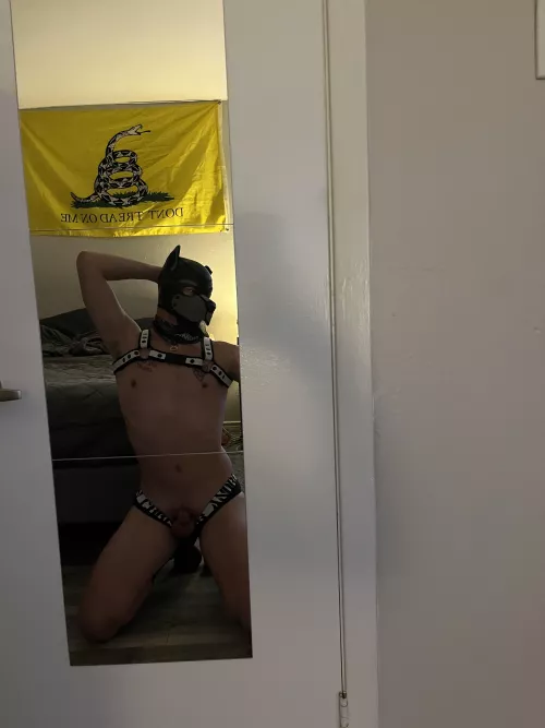 Always down to meet more pups… my Twitter is @uniformedpup since I can’t add vids here