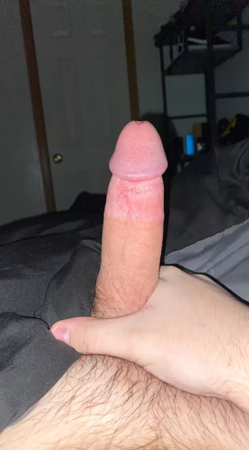 do ya like freshly 18 cock? ;)