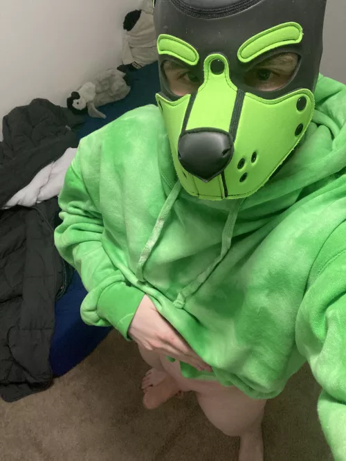 Doggo’s favorite hoodie! (And a lil something extra 😈)