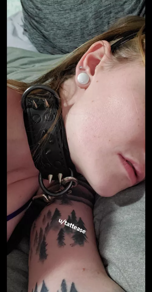 [F] collared and leashed and waiting to be yours