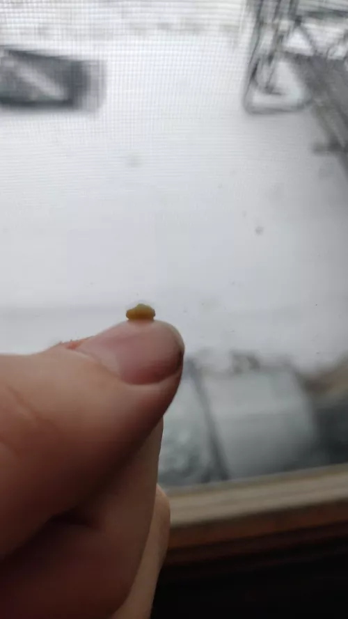 First thing waking up