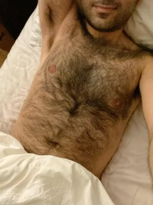 Furry arab