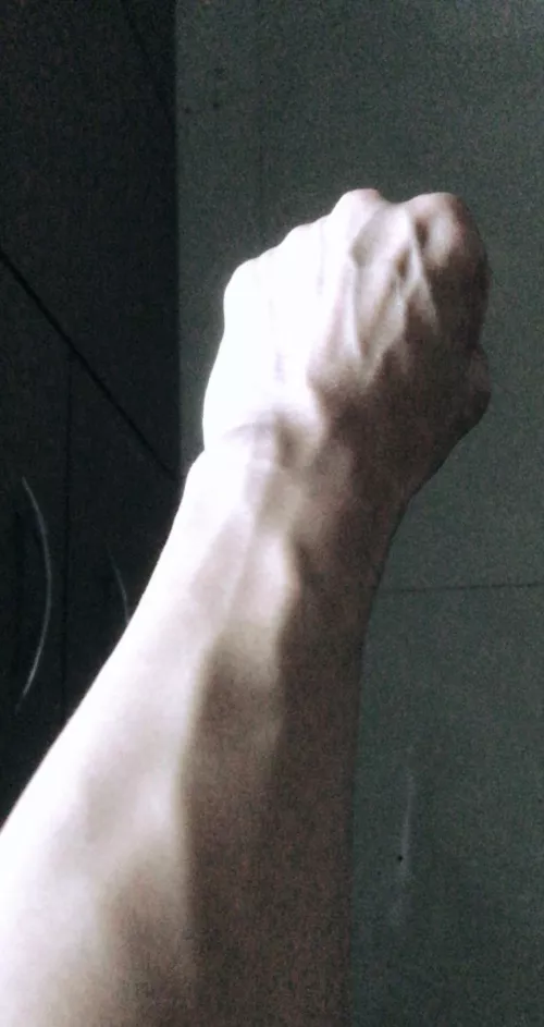 Getting vascular day by day