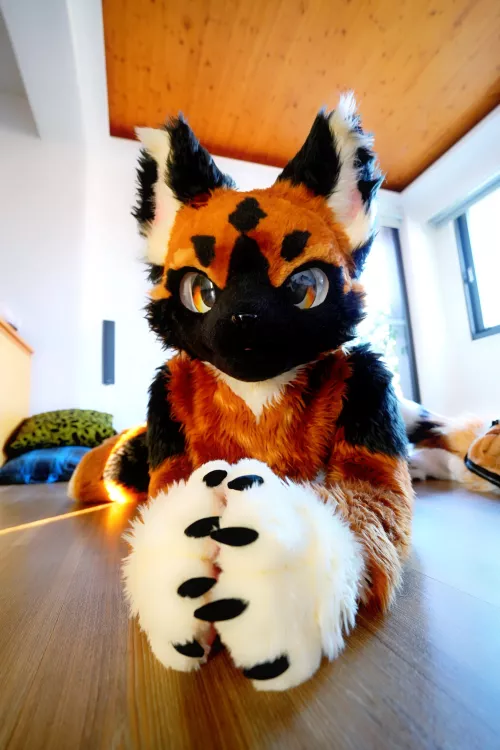 Good morning by @austin35623103 on Twitter!