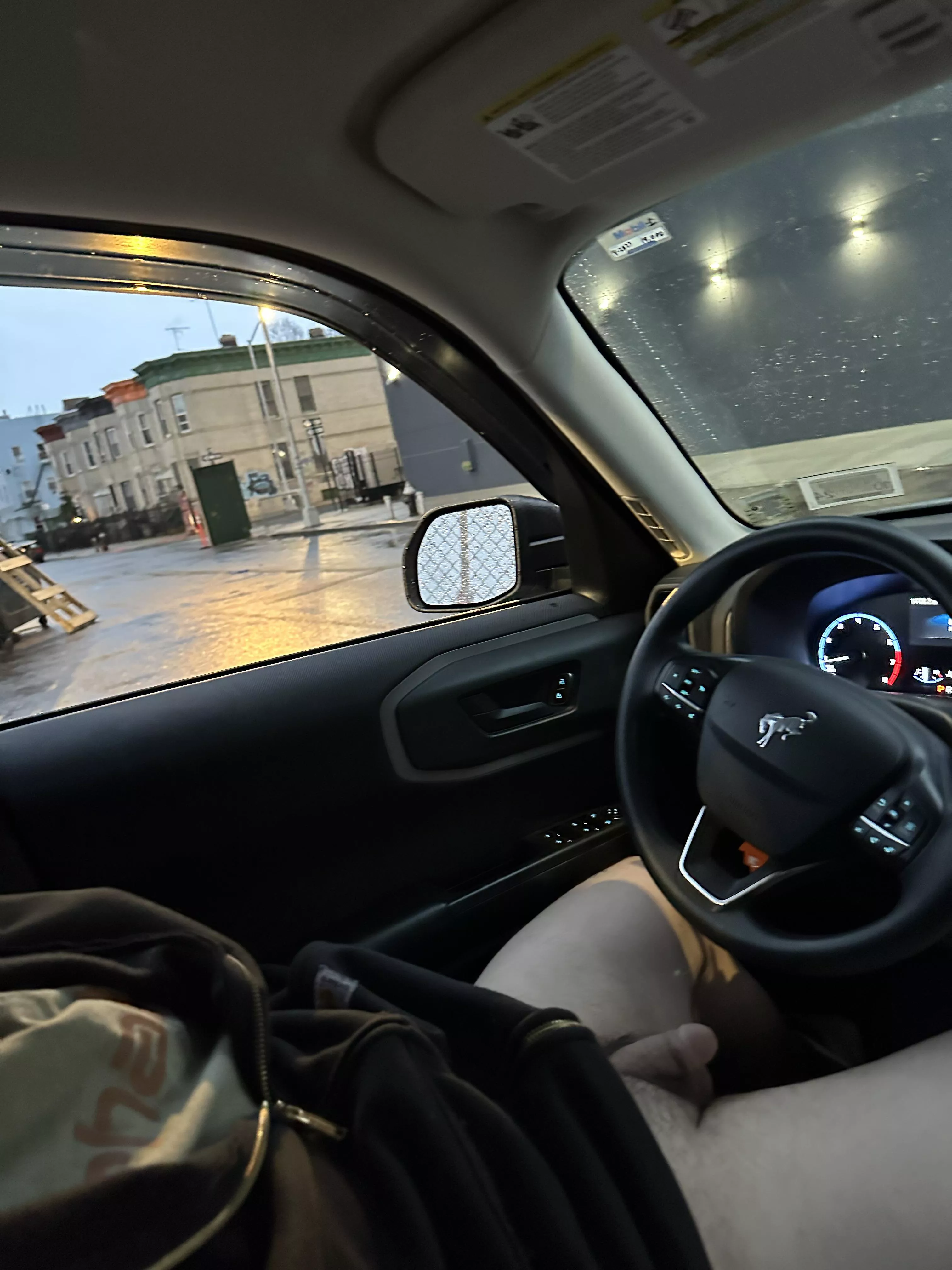 Had to let the little guy out for some air, this warm winter is amazing