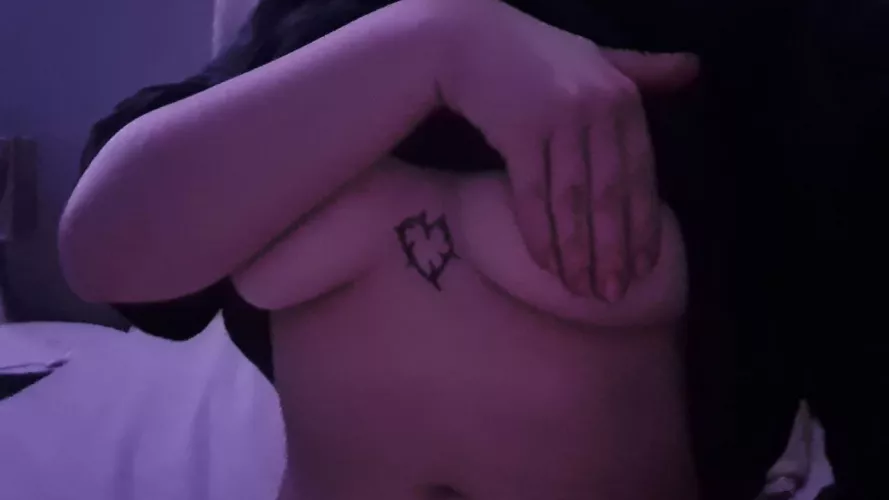 here are some swedish boobies