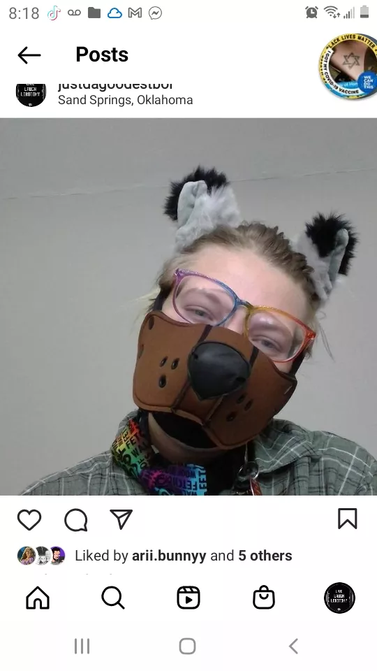 Hi there! my name is Ace and I'm brand new here! I'm an Oklahoma pup and would love to make more friends!!