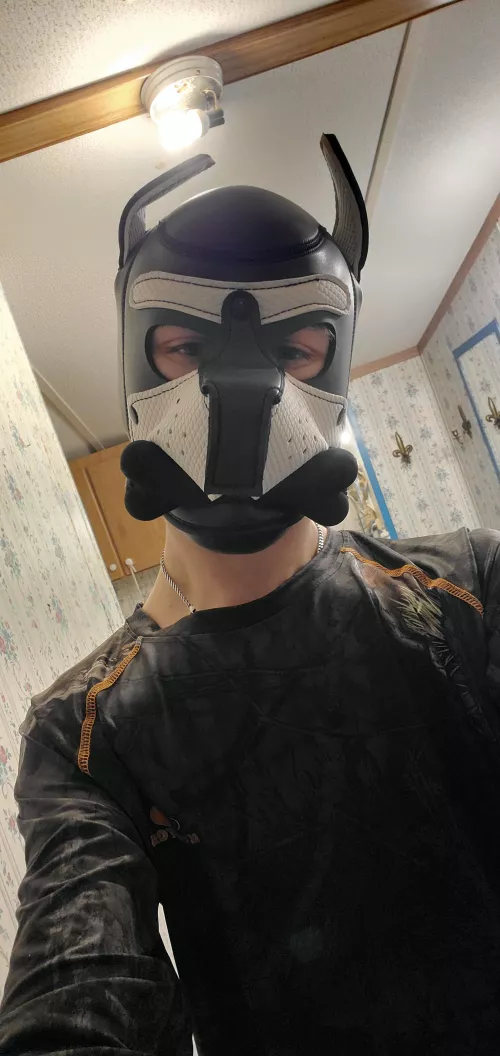 Hope everyone has a puptastic day!!!!!