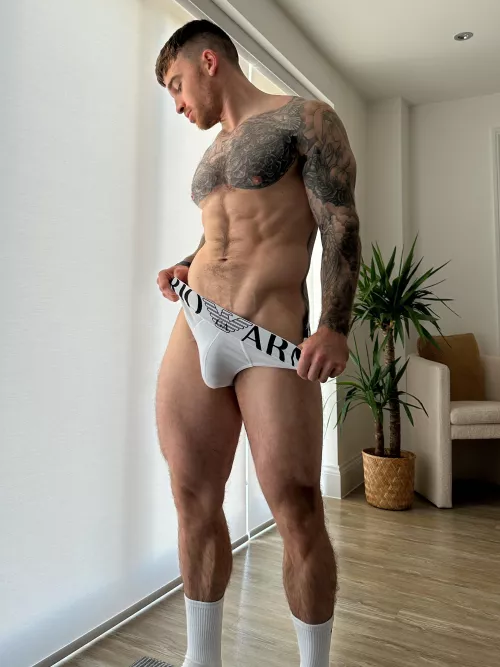 How do these new briefs look?