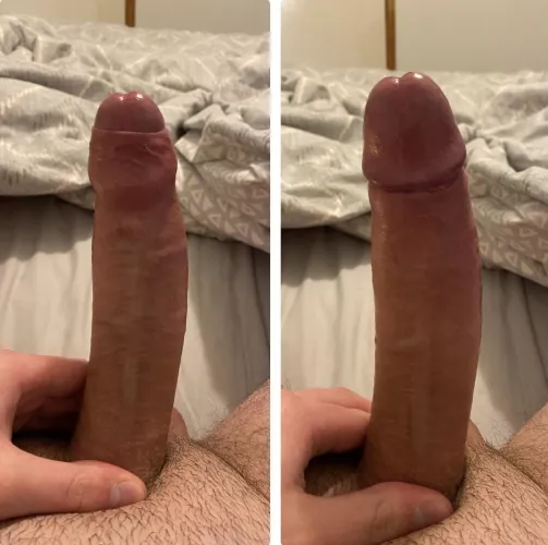 How’s my uncut British cock?