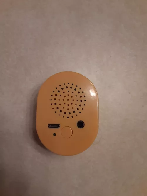 I have this voice/moan feature. Is there a way to set it to english?