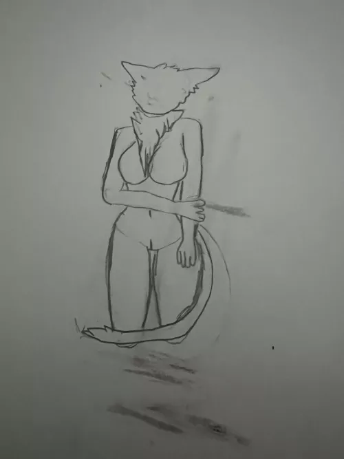 I tried to draw a furry but failed alot especially the tail and the face